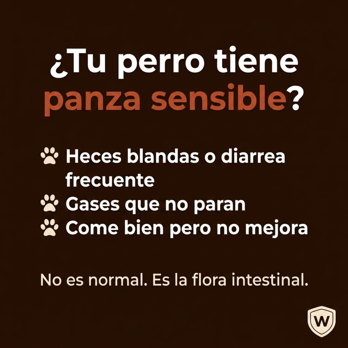 Wovu Gastro — Probiótico digestivo para perros