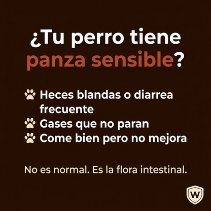 Wovu Gastro — Probiótico digestivo para perros